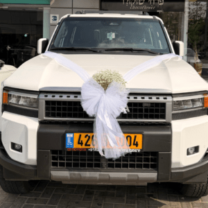 קישוט רכב- מתחתנים