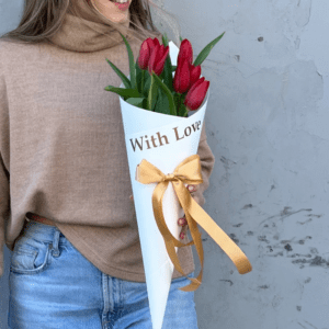 קונוס טוליפים