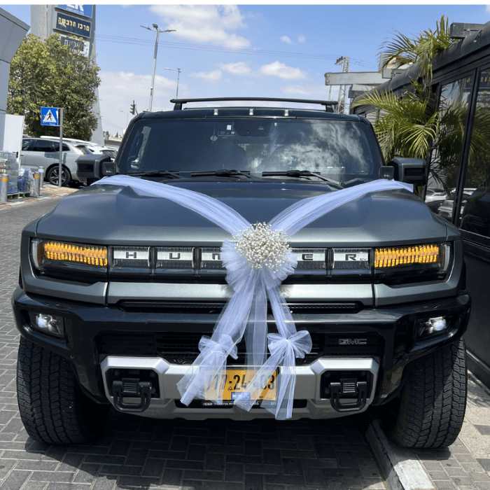 קישוט רכב אצילי