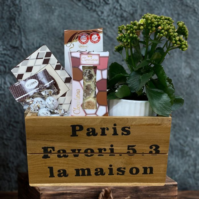 מארז חג לאילנות