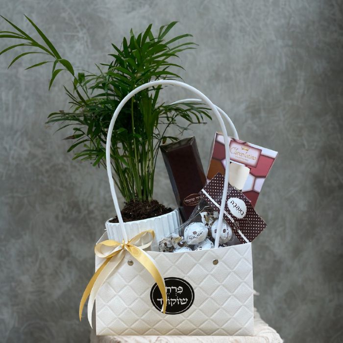 מארז לט"ו בשבט