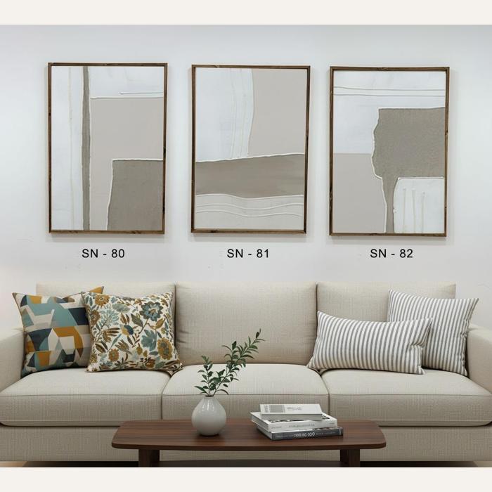 תמונה sn- 80, sn 81, sn 82