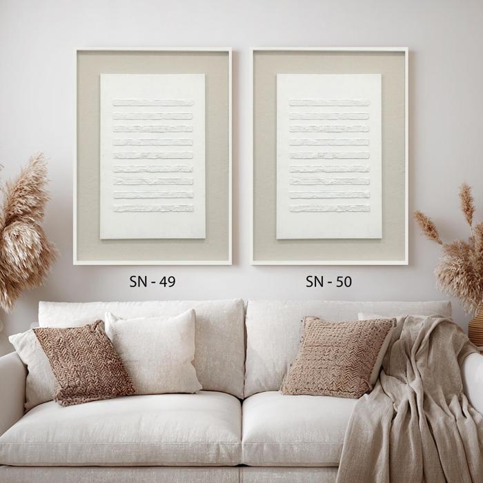 תמונה sn 49 / sn 50